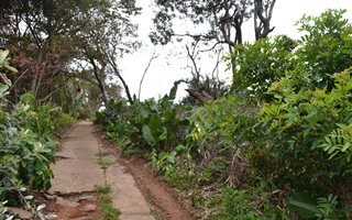 3034 m² Land available in Widenham