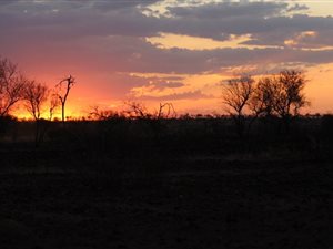 7.5 ha Land available in Dinokeng