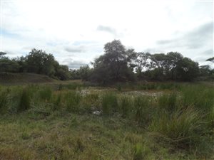 649 ha Farm in Modimolle