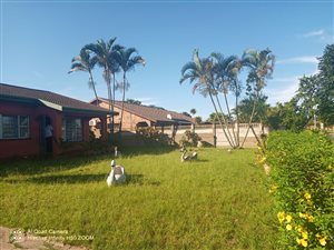 4 Bed House in Wild En Weide