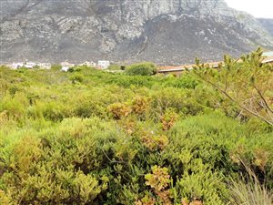 880 m² Land available in Bettys Bay