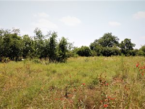 1200 m² Land available in The Ridge Estate