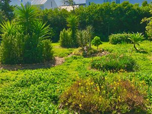 455 m² Land available in Franschhoek