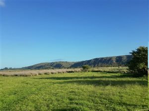 1.8 ha Farm in Plettenberg Bay