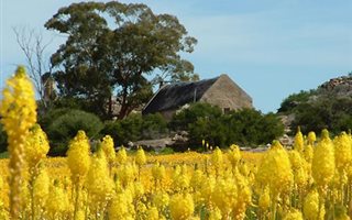 4461 m² Land available in Nieuwoudtville