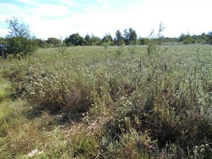 619 m² Land available in Humansdorp