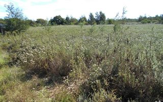 619 m² Land available in Humansdorp