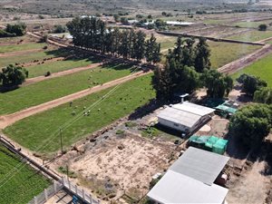 28 ha Farm in Calitzdorp