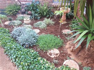 4 Bed House in Randlespark