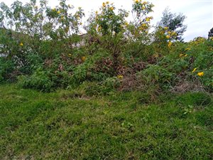 4070 m² Land available in Pinetown Central