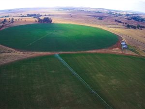620 ha Farm in Parys