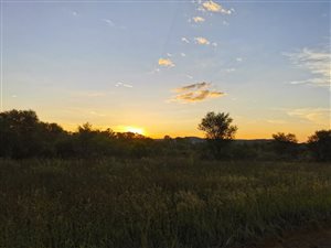 4.2 ha Land available in Maselspoort