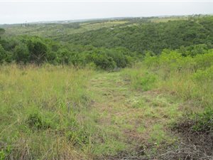 8 ha Farm in East London Rural