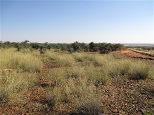 Game Farm in Kuruman