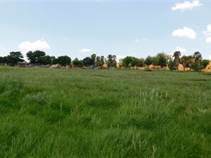 1.5 ha Smallholding in Die Hoewes