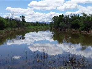 16 ha Farm in Oudtshoorn