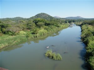 112 ha Farm in Karino