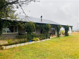 8.1 ha Farm in Howick