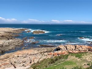 134 ha Smallholding in St Francis Bay