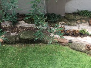 2 Bedroom Townhouse in Randburg Central