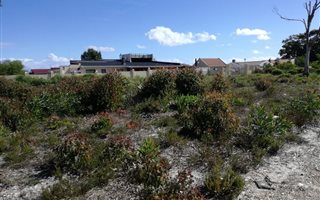 1042 m² Land available in Franskraal