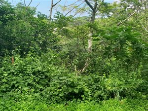 2102 m² Land available in Umtentweni
