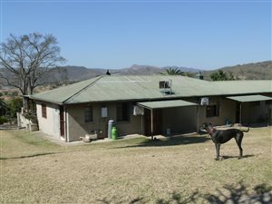 12 ha Farm in Barberton