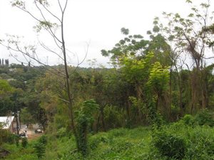 1205 m² Land available in Reservoir Hills
