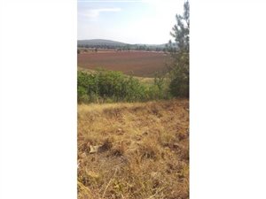 1343 m² Land available in Olifantsnek