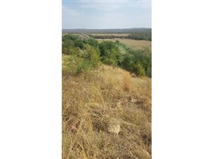 1343 m² Land available in Olifantsnek