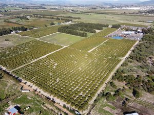 32 ha Farm in Durbanville Central