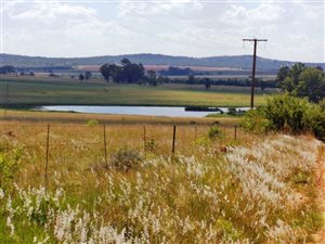 110 ha Farm in Vredefort