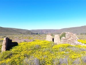 1000 ha Land available in Nieuwoudtville