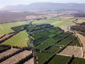 114 ha Farm in Swellendam
