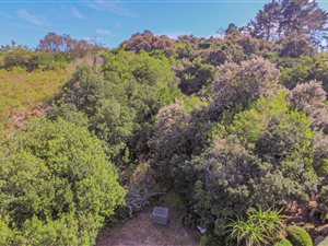 1979 m² Land available in Schoongezicht