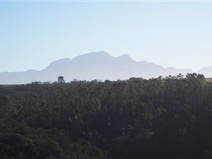 1227 m² Land available in Oubaai and surrounds