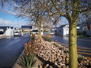 3 Bed House in Aan de Wijnlanden