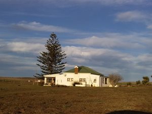 80 ha Farm in Vlees Bay