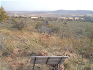 180 ha Farm in Parys