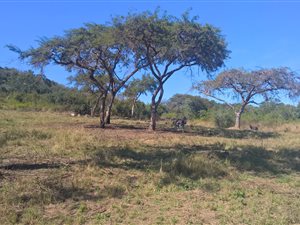 2239 m² Land available in Granite Hill