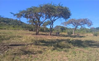 2239 m² Land available in Granite Hill