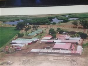 13 ha Farm in Wentworth Park
