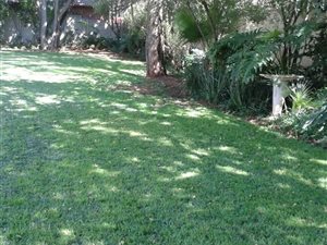 1 Bed House in Waverley
