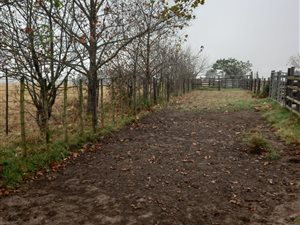 496 ha Farm in King Williams Town