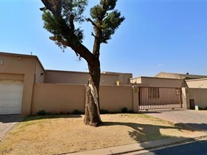12 Bed House in Rynsoord