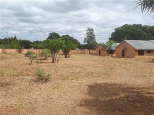 4.5 ha Farm in Ivydale