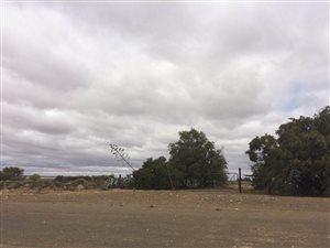 465 ha Farm in Dealesville