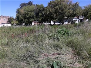 1115 m² Land available in Graskop