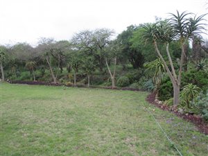 20.6 ha Farm in Camperdown