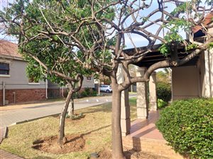 2 Bed Townhouse in Craigavon